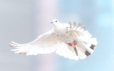 ¿Cómo se comunica el Espíritu Santo con nosotros?